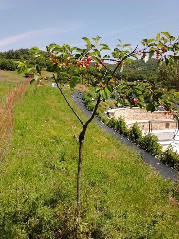Il Moro