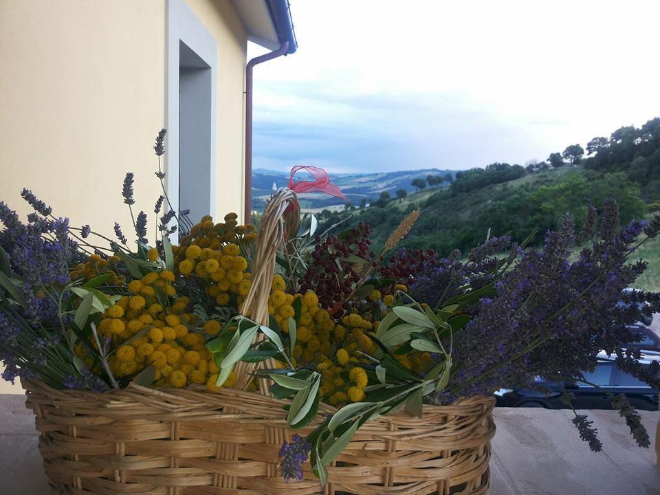 Il Moro * Gubbio