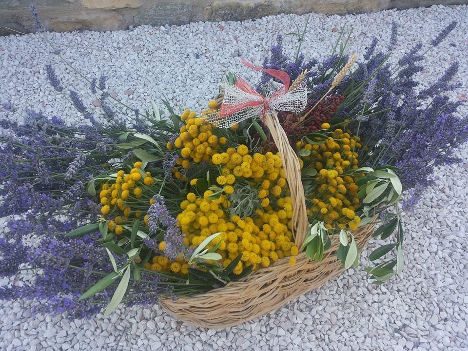 Alloggio per agriturismo Il Moro *