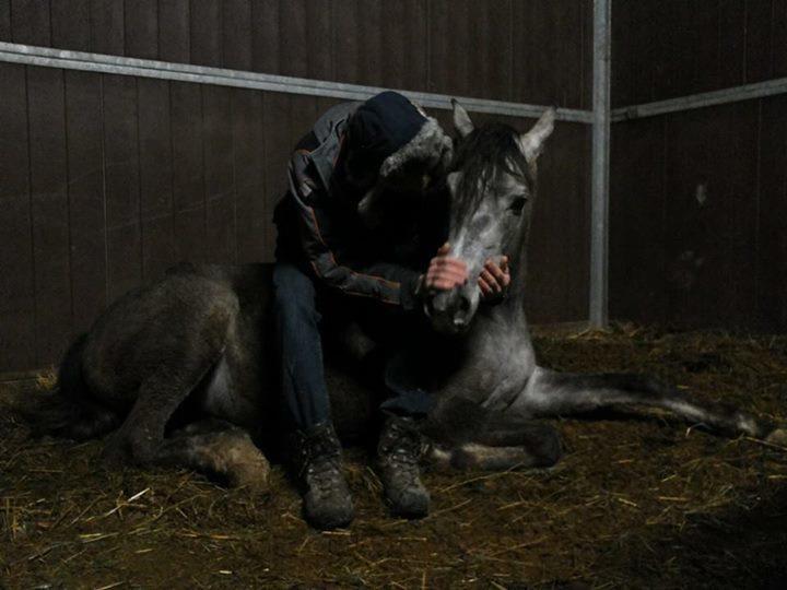 Séjour à la ferme Il Moro Gubbio