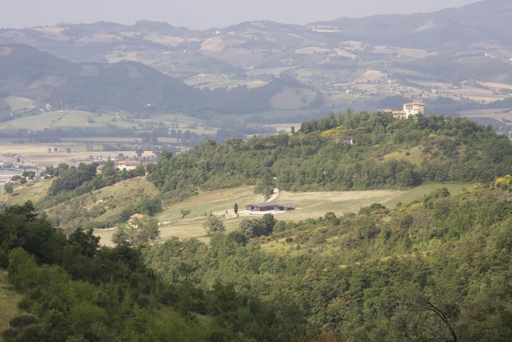 Il Moro