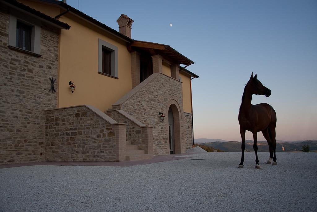 Il Moro Séjour à la ferme